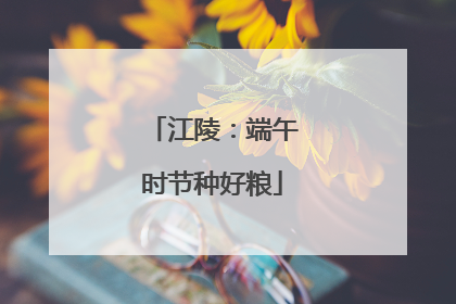 江陵：端午时节种好粮