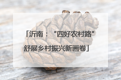 沂南：“四好农村路”舒展乡村振兴新画卷
