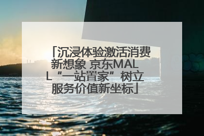 沉浸体验激活消费新想象 京东MALL“一站置家”树立服务价值新坐标