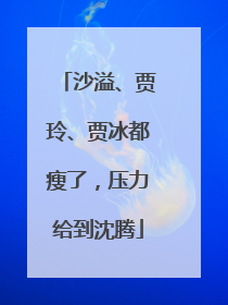 沙溢、贾玲、贾冰都瘦了，压力给到沈腾