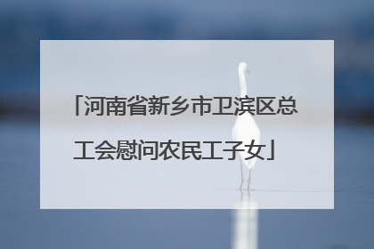 河南省新乡市卫滨区总工会慰问农民工子女