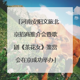 河南安阳文旅北京招商推介会暨歌剧《茶花女》鉴赏会在京成功举办