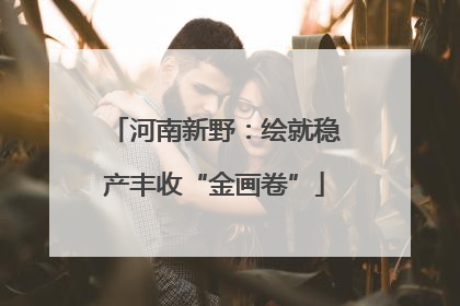 河南新野：绘就稳产丰收“金画卷”
