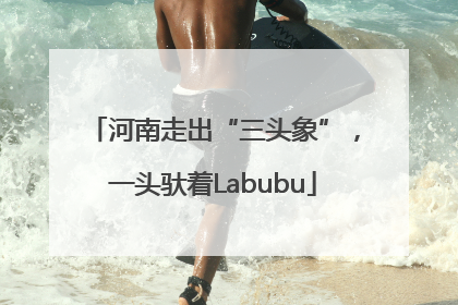 河南走出“三头象”，一头驮着Labubu