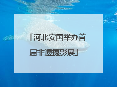 河北安国举办首届非遗摄影展