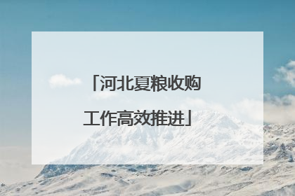 河北夏粮收购工作高效推进