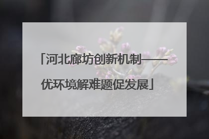 河北廊坊创新机制——优环境解难题促发展