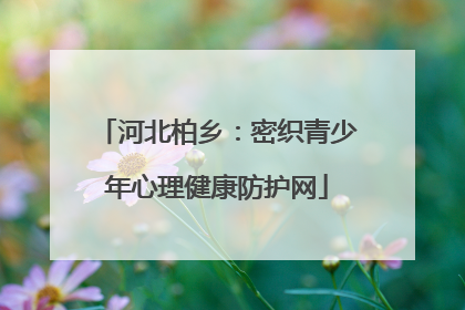 河北柏乡：密织青少年心理健康防护网