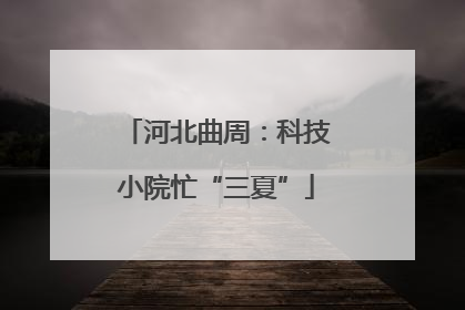 河北曲周：科技小院忙“三夏”