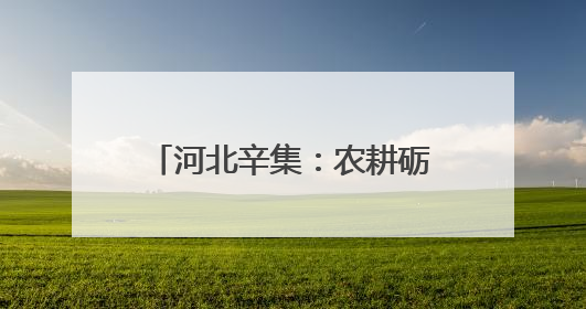 河北辛集：农耕砺心志 研学育新人