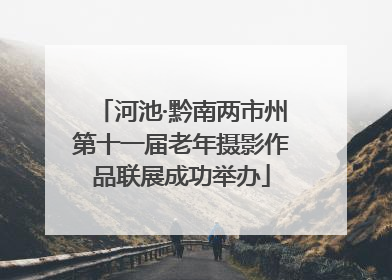 河池·黔南两市州第十一届老年摄影作品联展成功举办