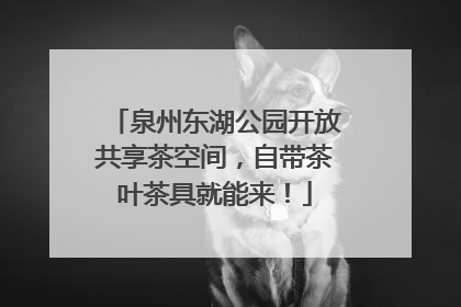 泉州东湖公园开放共享茶空间，自带茶叶茶具就能来！