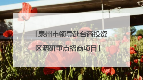 泉州市领导赴台商投资区调研重点招商项目