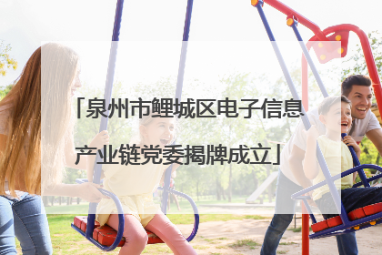泉州市鲤城区电子信息产业链党委揭牌成立