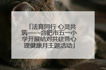 法育同行 心灵共筑——合肥市五一小学开展结对共建暨心理健康月主题活动