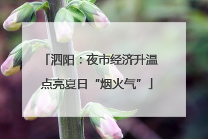 泗阳：夜市经济升温 点亮夏日“烟火气”