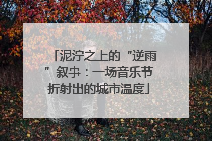 泥泞之上的“逆雨”叙事：一场音乐节折射出的城市温度