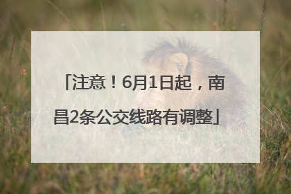 注意！6月1日起，南昌2条公交线路有调整