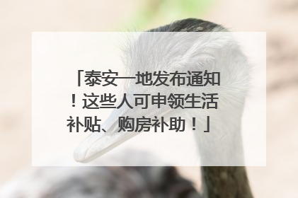 泰安一地发布通知！这些人可申领生活补贴、购房补助！