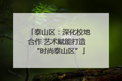 泰山区：深化校地合作 艺术赋能打造“时尚泰山区”