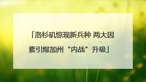 洛杉矶惊现新兵种 两大因素引爆加州“内战”升级