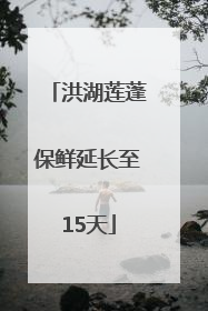 洪湖莲蓬保鲜延长至15天