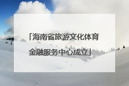 海南省旅游文化体育金融服务中心成立