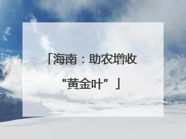 海南：助农增收 “黄金叶”