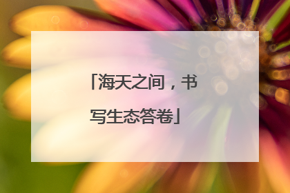 海天之间，书写生态答卷