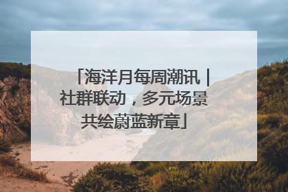 海洋月每周潮讯｜社群联动，多元场景共绘蔚蓝新章