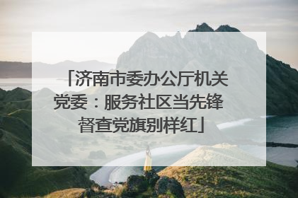 济南市委办公厅机关党委：服务社区当先锋 督查党旗别样红