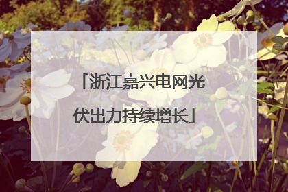 浙江嘉兴电网光伏出力持续增长