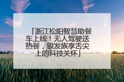 浙江松阳智慧助餐车上线！无人驾驶送热餐，银发族享舌尖上的科技关怀