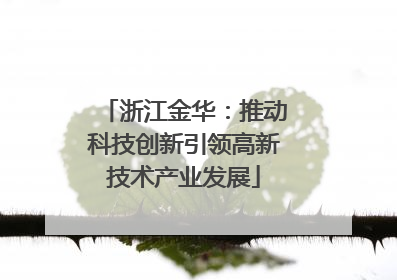 浙江金华：推动科技创新引领高新技术产业发展