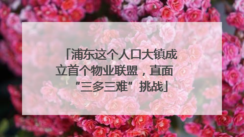 浦东这个人口大镇成立首个物业联盟，直面“三多三难”挑战