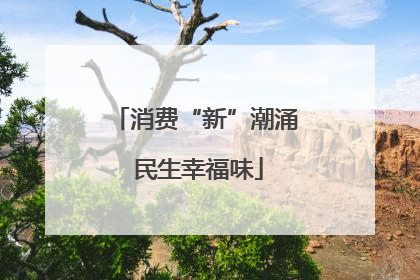 消费“新”潮涌 民生幸福味