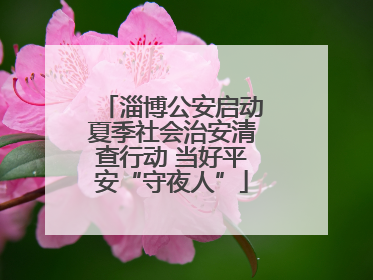 淄博公安启动夏季社会治安清查行动 当好平安“守夜人”