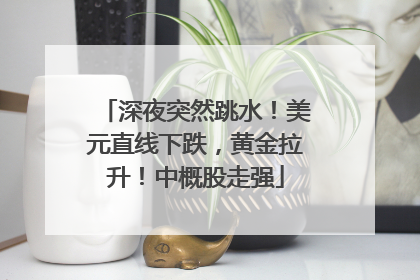 深夜突然跳水！美元直线下跌，黄金拉升！中概股走强