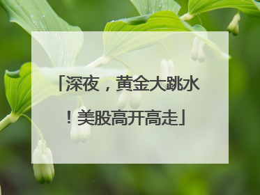 深夜，黄金大跳水！美股高开高走