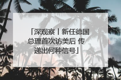 深观察丨新任德国总理首次访美后 传递出何种信号