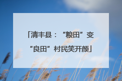 清丰县：“粮田”变“良田”村民笑开颜