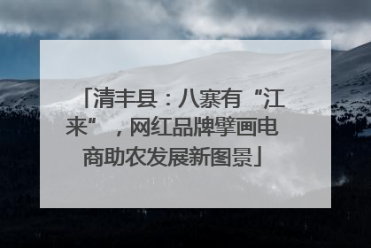清丰县：八寨有“江来”，网红品牌擘画电商助农发展新图景