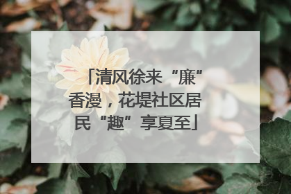清风徐来“廉”香漫，花堤社区居民“趣”享夏至