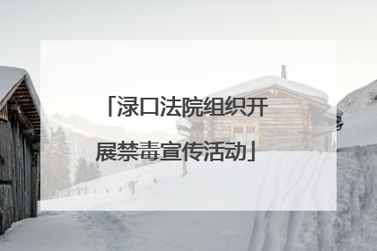 渌口法院组织开展禁毒宣传活动
