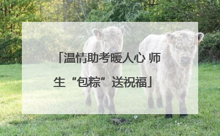 温情助考暖人心 师生“包粽”送祝福