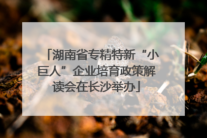 湖南省专精特新“小巨人”企业培育政策解读会在长沙举办