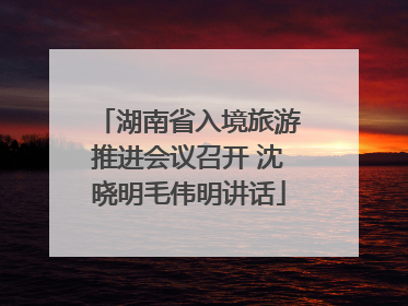 湖南省入境旅游推进会议召开 沈晓明毛伟明讲话