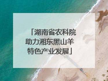 湖南省农科院助力湘东黑山羊特色产业发展