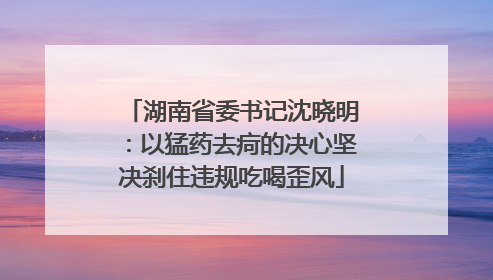 湖南省委书记沈晓明：以猛药去疴的决心坚决刹住违规吃喝歪风