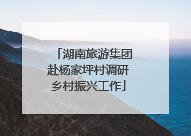 湖南旅游集团赴杨家坪村调研乡村振兴工作
